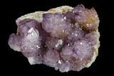 Dark, Cactus Quartz (Amethyst) Cluster - South Africa #132533-2